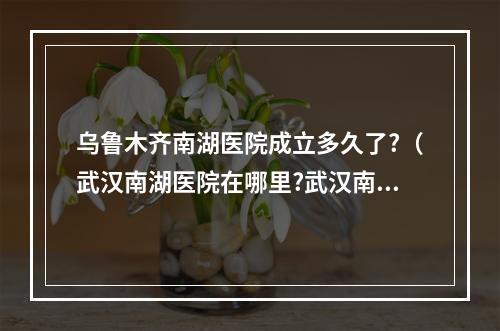 乌鲁木齐南湖医院成立多久了?（武汉南湖医院在哪里?武汉南湖医院怎么样?武汉南湖医院怎么走_百度知 ...）