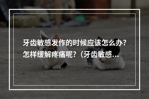 牙齿敏感发作的时候应该怎么办?怎样缓解疼痛呢?（牙齿敏感疼痛怎么处理?用抗敏的漱口水有用吗?）