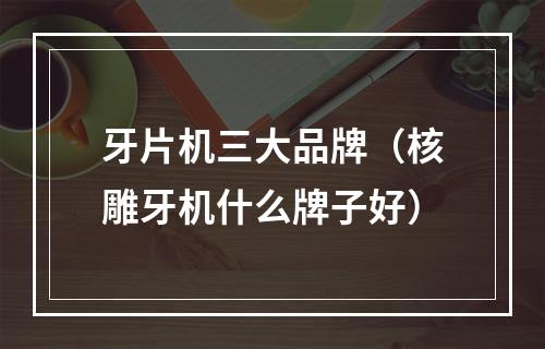 牙片机三大品牌（核雕牙机什么牌子好）