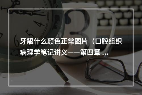 牙龈什么颜色正常图片（口腔组织病理学笔记讲义——第四章 牙周组织）