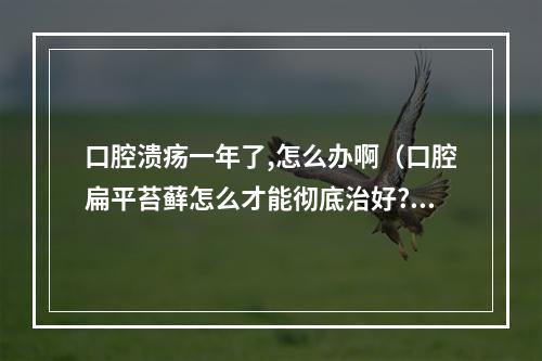 口腔溃疡一年了,怎么办啊（口腔扁平苔藓怎么才能彻底治好? 我已经一年多了!!很是烦恼,带有刺激性...）