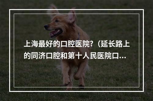 上海最好的口腔医院?（延长路上的同济口腔和第十人民医院口腔哪家好?）