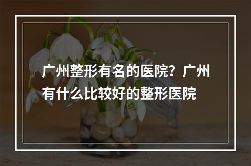 广州整形有名的医院？广州有什么比较好的整形医院