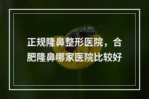 正规隆鼻整形医院，合肥隆鼻哪家医院比较好