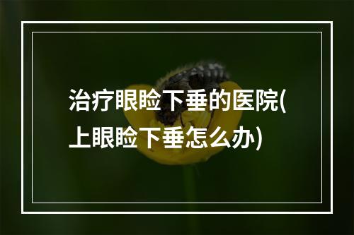 治疗眼睑下垂的医院(上眼睑下垂怎么办)