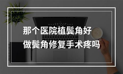 那个医院植鬓角好 做鬓角修复手术疼吗