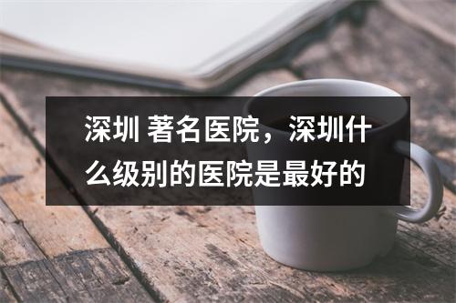 深圳 著名医院，深圳什么级别的医院是最好的