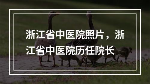 浙江省中医院照片，浙江省中医院历任院长