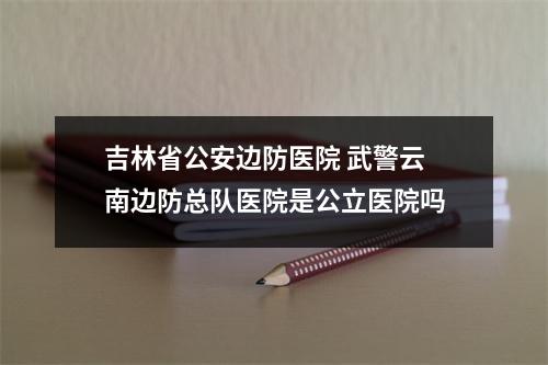 吉林省公安边防医院 武警云南边防总队医院是公立医院吗