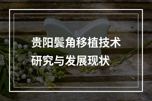 贵阳鬓角移植技术研究与发展现状