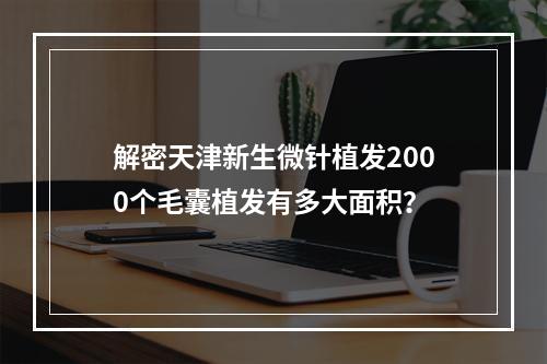 解密天津新生微针植发2000个毛囊植发有多大面积？