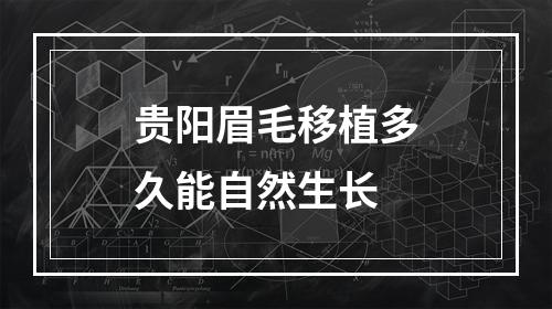 贵阳眉毛移植多久能自然生长