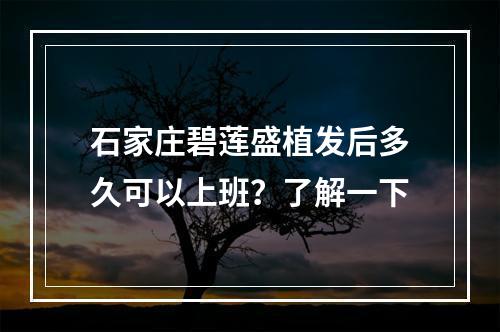 石家庄碧莲盛植发后多久可以上班？了解一下