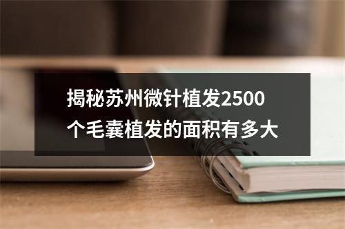 揭秘苏州微针植发2500个毛囊植发的面积有多大