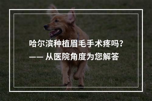 哈尔滨种植眉毛手术疼吗？—— 从医院角度为您解答