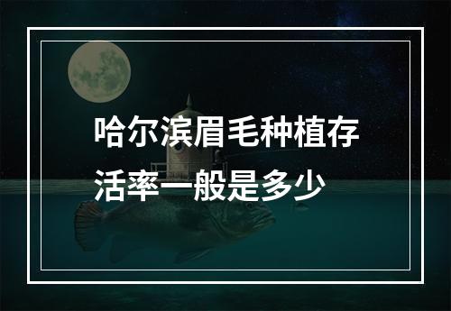 哈尔滨眉毛种植存活率一般是多少