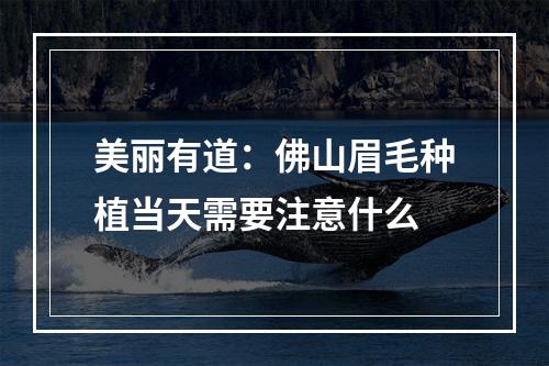 美丽有道：佛山眉毛种植当天需要注意什么