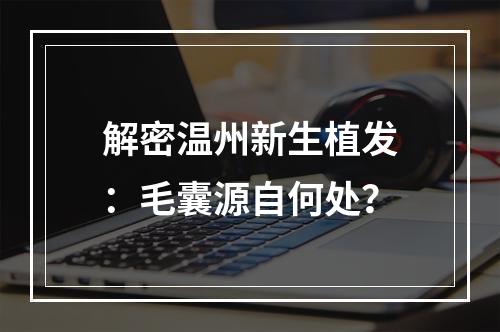 解密温州新生植发：毛囊源自何处？