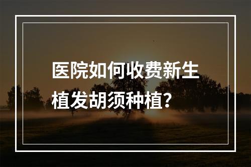 医院如何收费新生植发胡须种植？