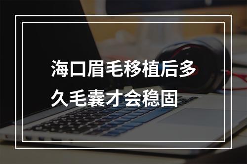 海口眉毛移植后多久毛囊才会稳固