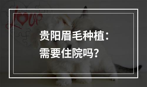 贵阳眉毛种植：需要住院吗？