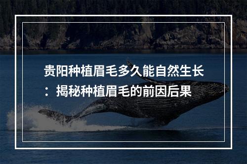 贵阳种植眉毛多久能自然生长：揭秘种植眉毛的前因后果