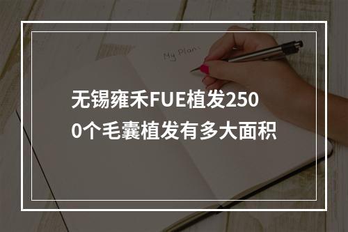 无锡雍禾FUE植发2500个毛囊植发有多大面积