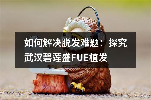 如何解决脱发难题：探究武汉碧莲盛FUE植发