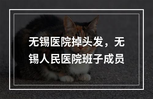 无锡医院掉头发，无锡人民医院班子成员