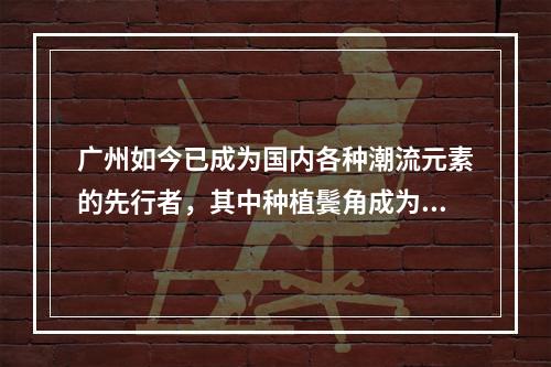 广州如今已成为国内各种潮流元素的先行者，其中种植鬓角成为越来越多人关注的事项。大家都很关心广州种植鬓角是否有用？下面一起来看看吧。