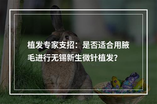 植发专家支招：是否适合用腋毛进行无锡新生微针植发？