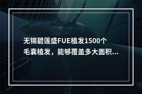 无锡碧莲盛FUE植发1500个毛囊植发，能够覆盖多大面积？