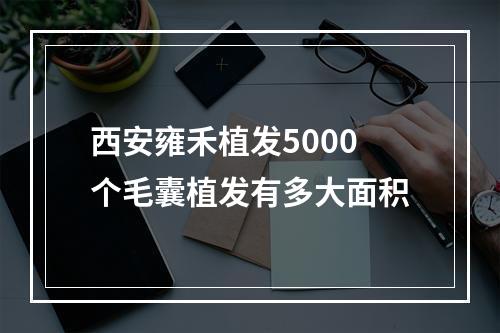 西安雍禾植发5000个毛囊植发有多大面积