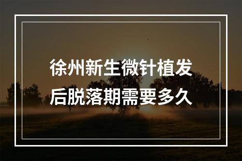 徐州新生微针植发后脱落期需要多久