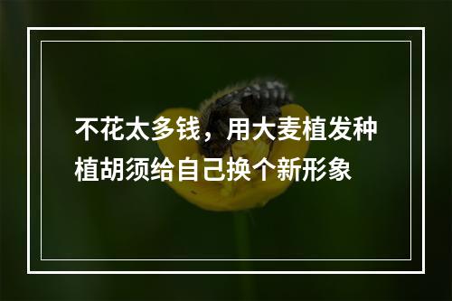 不花太多钱，用大麦植发种植胡须给自己换个新形象