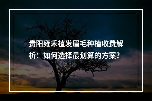 贵阳雍禾植发眉毛种植收费解析：如何选择最划算的方案？