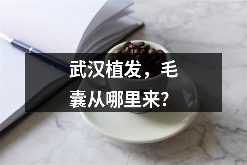 武汉植发，毛囊从哪里来？