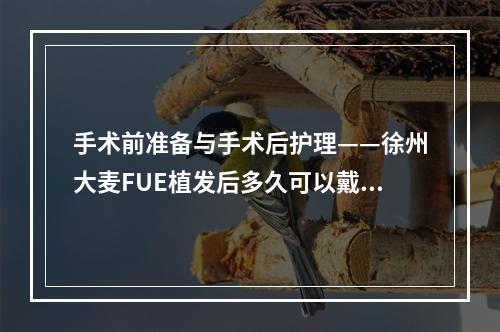 手术前准备与手术后护理——徐州大麦FUE植发后多久可以戴帽子