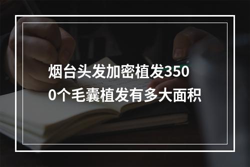 烟台头发加密植发3500个毛囊植发有多大面积