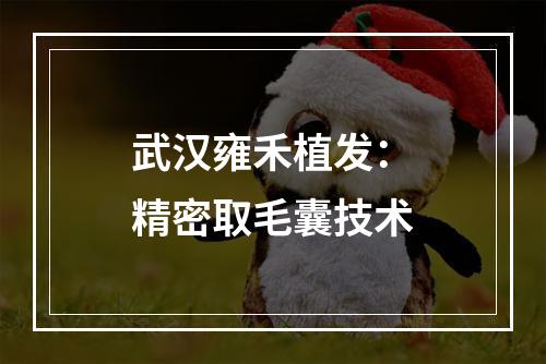 武汉雍禾植发：精密取毛囊技术