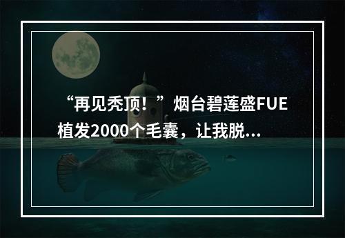 “再见秃顶！”烟台碧莲盛FUE植发2000个毛囊，让我脱发面积减少了一半