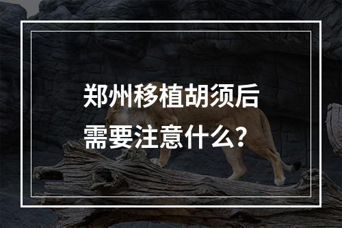 郑州移植胡须后需要注意什么？