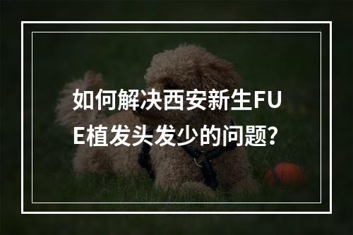 如何解决西安新生FUE植发头发少的问题？