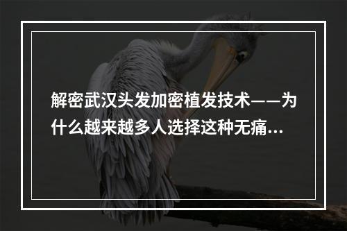 解密武汉头发加密植发技术——为什么越来越多人选择这种无痛植发方式？