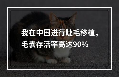 我在中国进行睫毛移植，毛囊存活率高达90%