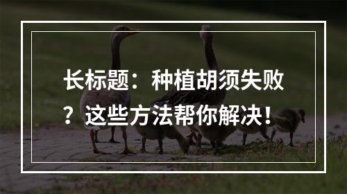 长标题：种植胡须失败？这些方法帮你解决！