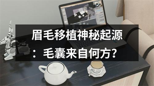 眉毛移植神秘起源：毛囊来自何方？