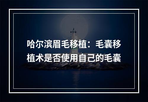 哈尔滨眉毛移植：毛囊移植术是否使用自己的毛囊