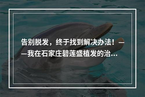 告别脱发，终于找到解决办法！——我在石家庄碧莲盛植发的治疗经历