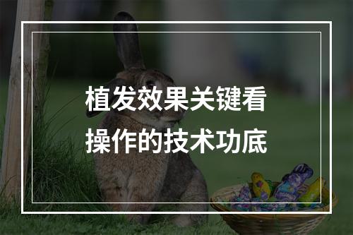 植发效果关键看操作的技术功底